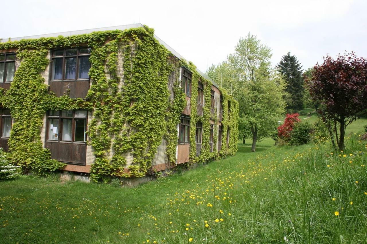 Blumenmeer Appartment Ober-Hambach Exteriér fotografie